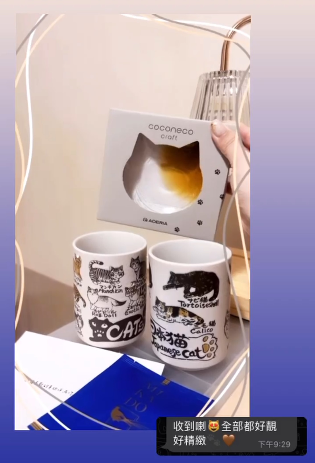 貓咪碟-貓貓壽司杯【日本製】